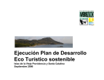 sector solidario - Eco