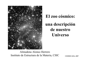 El zoo cósmico: una descripción de nuestro Universo