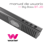 Manual Big Bass BT-20