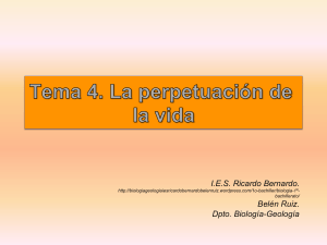 I.E.S. Ricardo Bernardo. Belén Ruiz. Dpto. Biología