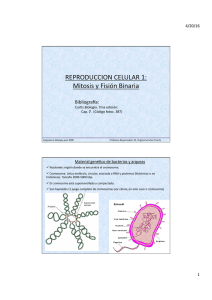 REPRODUCCION CELULAR 1: Mitosis y Fisión Binaria