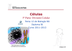 GTP_T12.Células \(5ªParte_División celular\) 2011