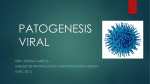 patogenesis viral