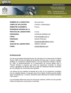 OI067_Leonilde Marmo..