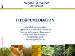 Diapositiva 1 - FBMC - Universidad de Buenos Aires