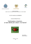 “Construyamos un insectario... un buen método para conocer a los