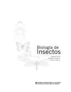Insectos - Ediciones Universitarias de Valparaíso PUCV