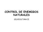 CONTROL DE ENEMIGOS NATURALES