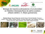 M1.4.2 Biología de insectos polinizadores en palma