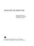 biología de insectos