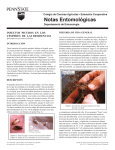 PDF En Español Insectos Picudos en los CÉspedes de las
