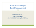 C t l d Pl ontrol de Plagas Pest Management