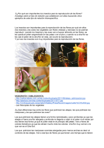 1)¿Por qué son importantes los insectos para la reproducción de las
