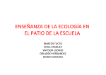 ENSEÑANZA DE LA ECOLOGÍA EN EL PATIO DE LA ESCUELA