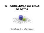 BASE DE DATOS