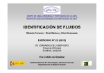 Identificacion de fluidos 2015 - (GEP