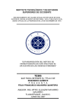 Tesis en PDF - Colegio de Calígrafos