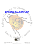 hematologia_forense