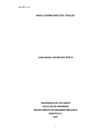 IM-2007-1-25 1 MODELO BIOMECÁNICO DEL PEDALEO JUAN