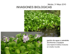 invasiones biologicas 306_2016