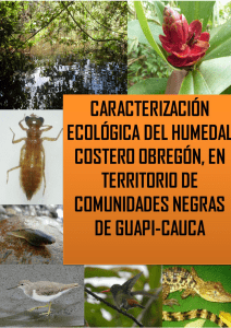 Caracterización Ecológica del Humedal Costero Obregón Guapi
