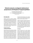 Historia natural y ecología de Sphenarium purpurascens