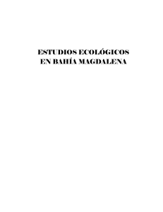 estudios ecológicos en bahía magdalena