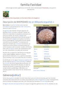 Corales cerebro (familia Faviidae)