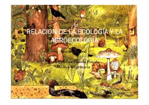 relacion de la ecología y la agroecología