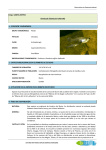 Gambusia holbrooki - Proyecto LIFE MedWetRivers