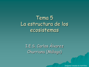 La estructura de los Ecosistemas