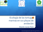 Ecología de playas. Eduardo Cuevas