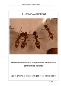 la hormiga argentina - Govern de les Illes Balears