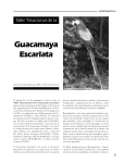 Guacamaya Escarlata