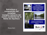 2008 Estructura y composición del complejo manglar