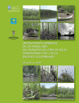Ordenamiento ambiental de los manglares del municipio de López