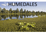 humedales