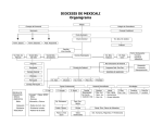 DIOCESIS DE MEXICALI Organigrama