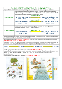 3.1- RELACIONES TRÓFICAS EN EL ECOSISTEMA