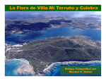 La Flora de Villa Mi Terruño y Culebra