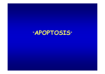 Seminario sobre apoptosis general