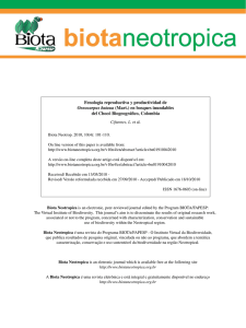 Fenología reproductiva y productividad de Oenocarpus bataua (Mart