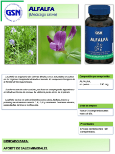 ficha-alfalfa