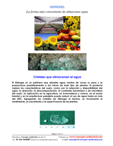 Presentación Hidrogel. - concepto@concepto