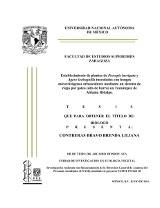 Contreras Bravo Brenda L. FES Zaragoza