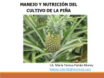 I.A. María Teresa Pulido Moroy Ma-at.166-‐