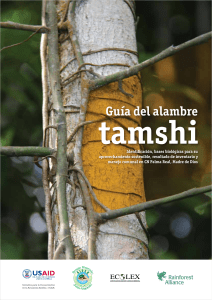 Guía del alambre - Rainforest Alliance