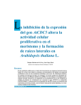 La inhibición de la expresión del gen AtCDC5 altera la actividad