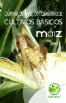 folleto maiz.cdr