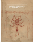 macroinvertebrados - Revista El Astrolabio